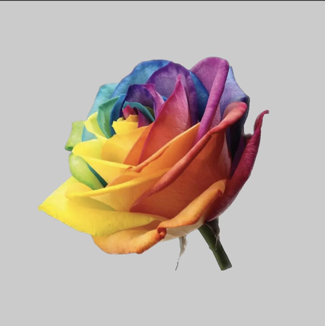 null