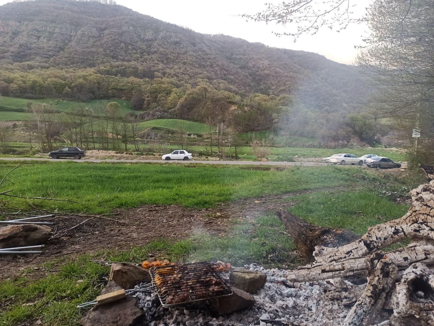 دربستی به تمام نقاط کشور|اشتراک سفر|شیراز, کاراندیش|دیوار