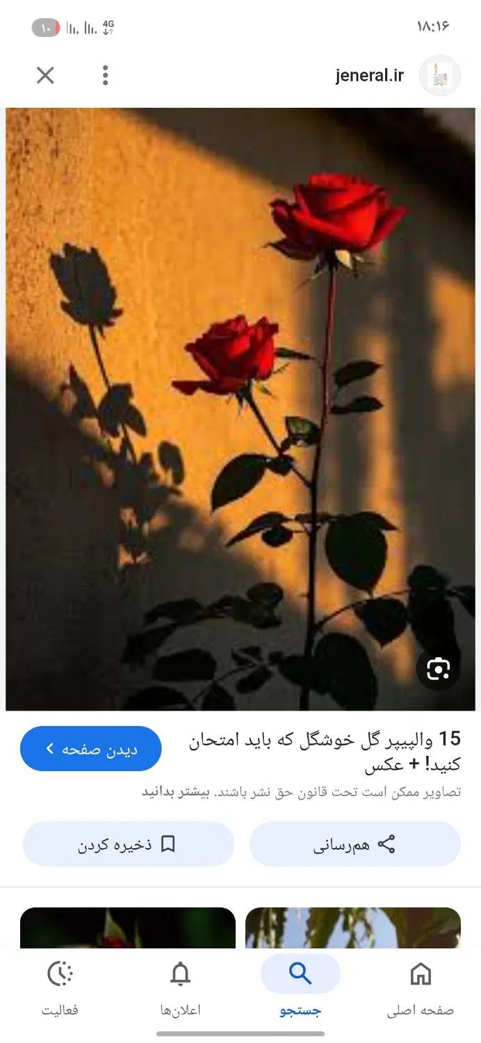 باغبانی|خدمات باغبانی و درختکاری|مشهد, توس فردوسی|دیوار