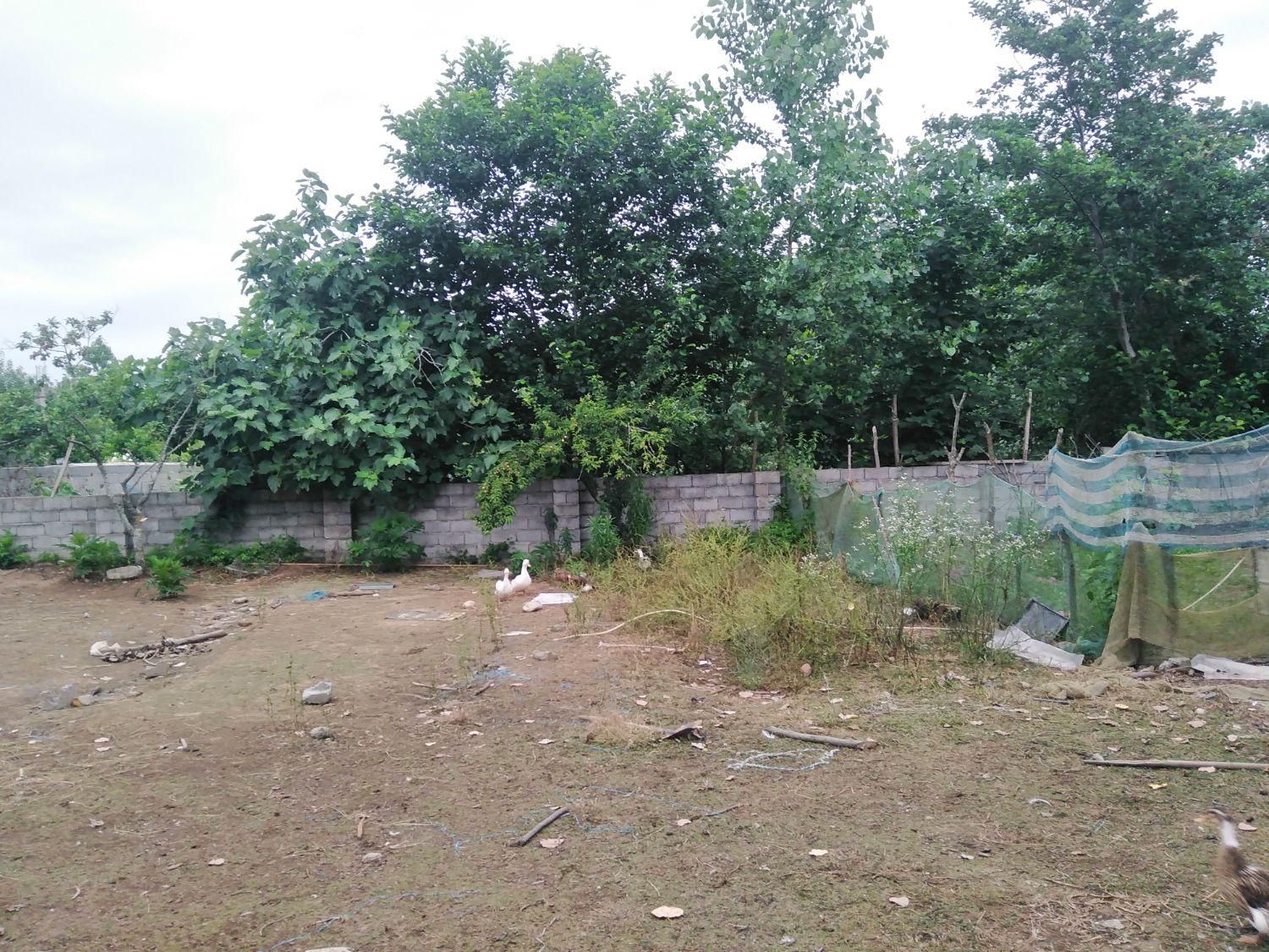 638 متر زمین مسکونی ساحلی در تازه آباد رضوانشهر|فروش زمین و ملک کلنگی|رضوانشهر, |دیوار