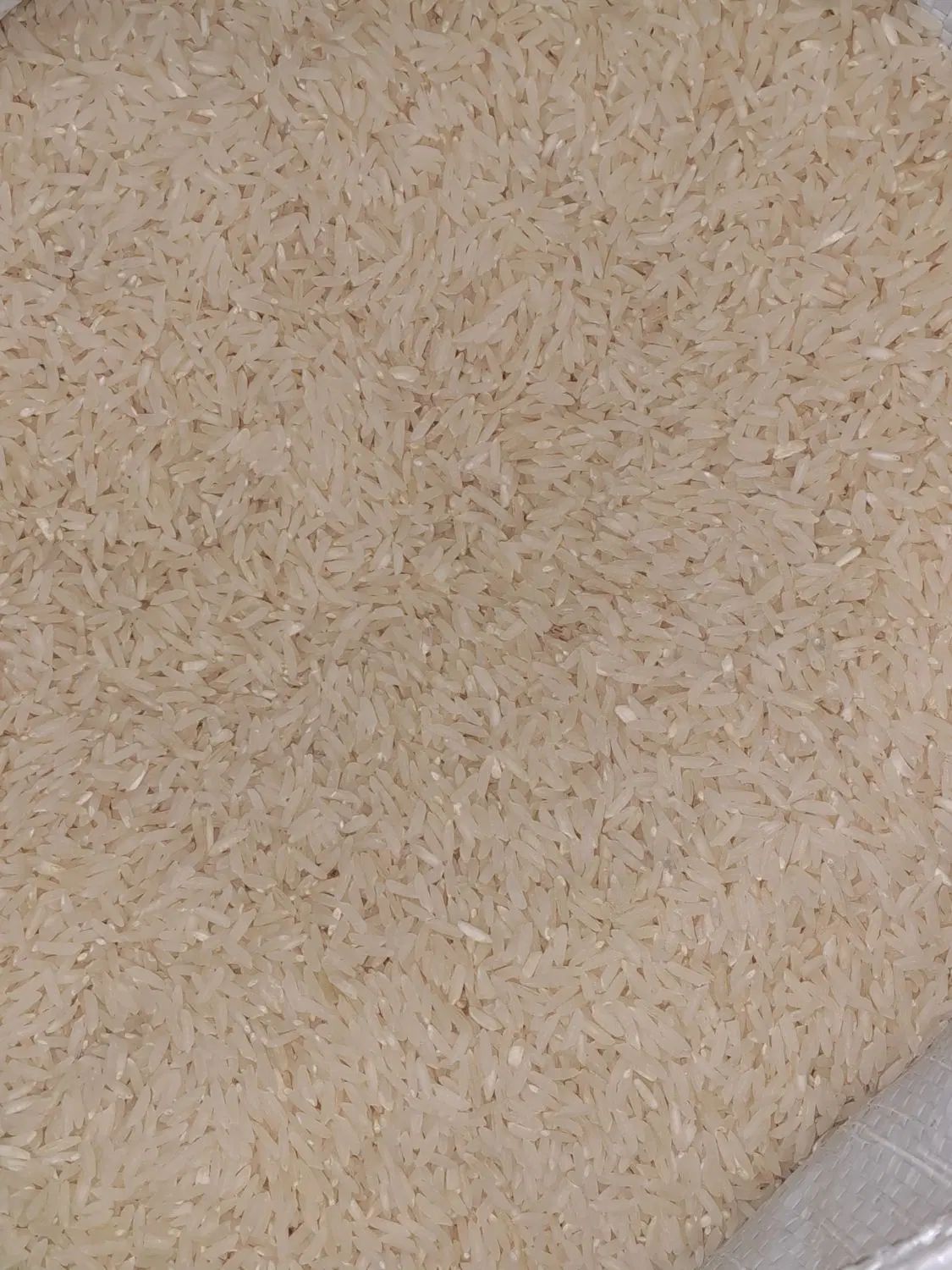 برنج هاشمی|خوردنی و آشامیدنی|رشت, جماران|دیوار