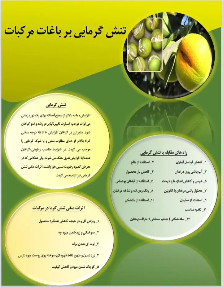 تایپ صفحات ، ساخت اسلاید و پاورپوینت ،پوستر آموزشی|خدمات رایانه‌ای و موبایل|شیراز, ارم|دیوار