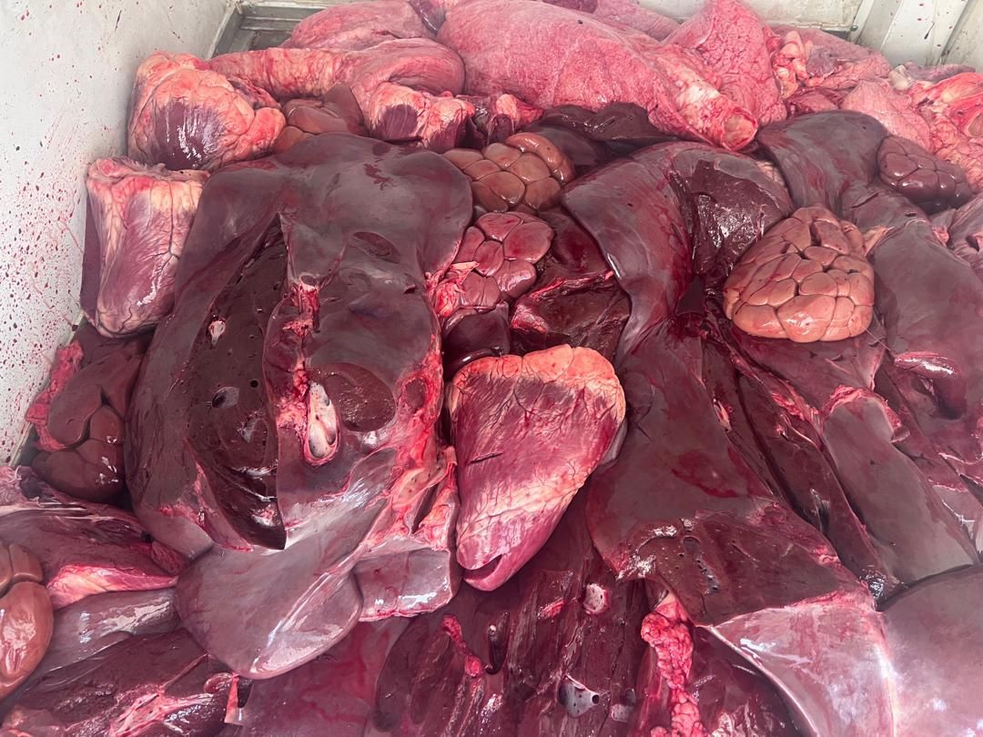 دل و جگر گوساله کشتار روز|خوردنی و آشامیدنی|شیراز, بازار|دیوار