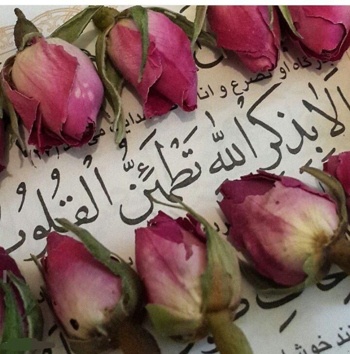 دعا .استخاره با قرآن|کتاب و مجله مذهبی|تهران, اوقاف|دیوار