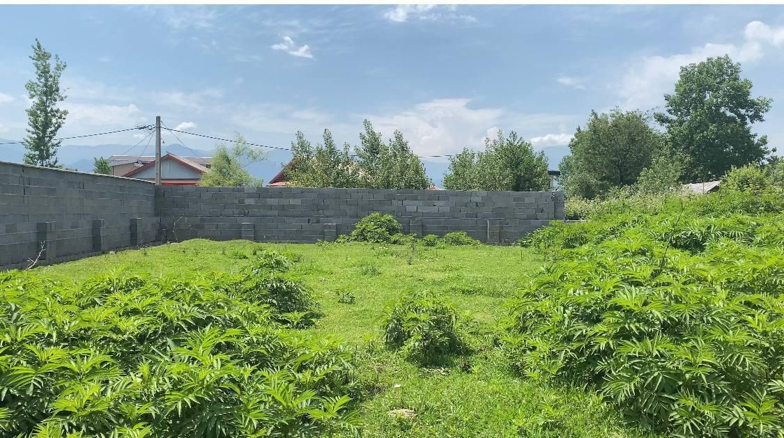 زمین در فومن روستای قلعه کل.|فروش زمین و ملک کلنگی|فومن, |دیوار