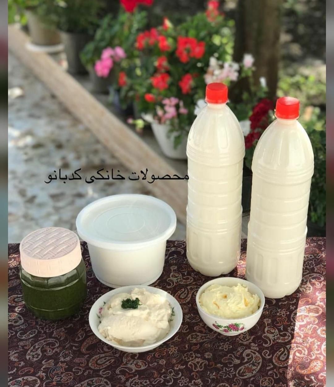دوغ کره شیر لبنیات محلی سالم|خوردنی و آشامیدنی|رشت, بازار|دیوار