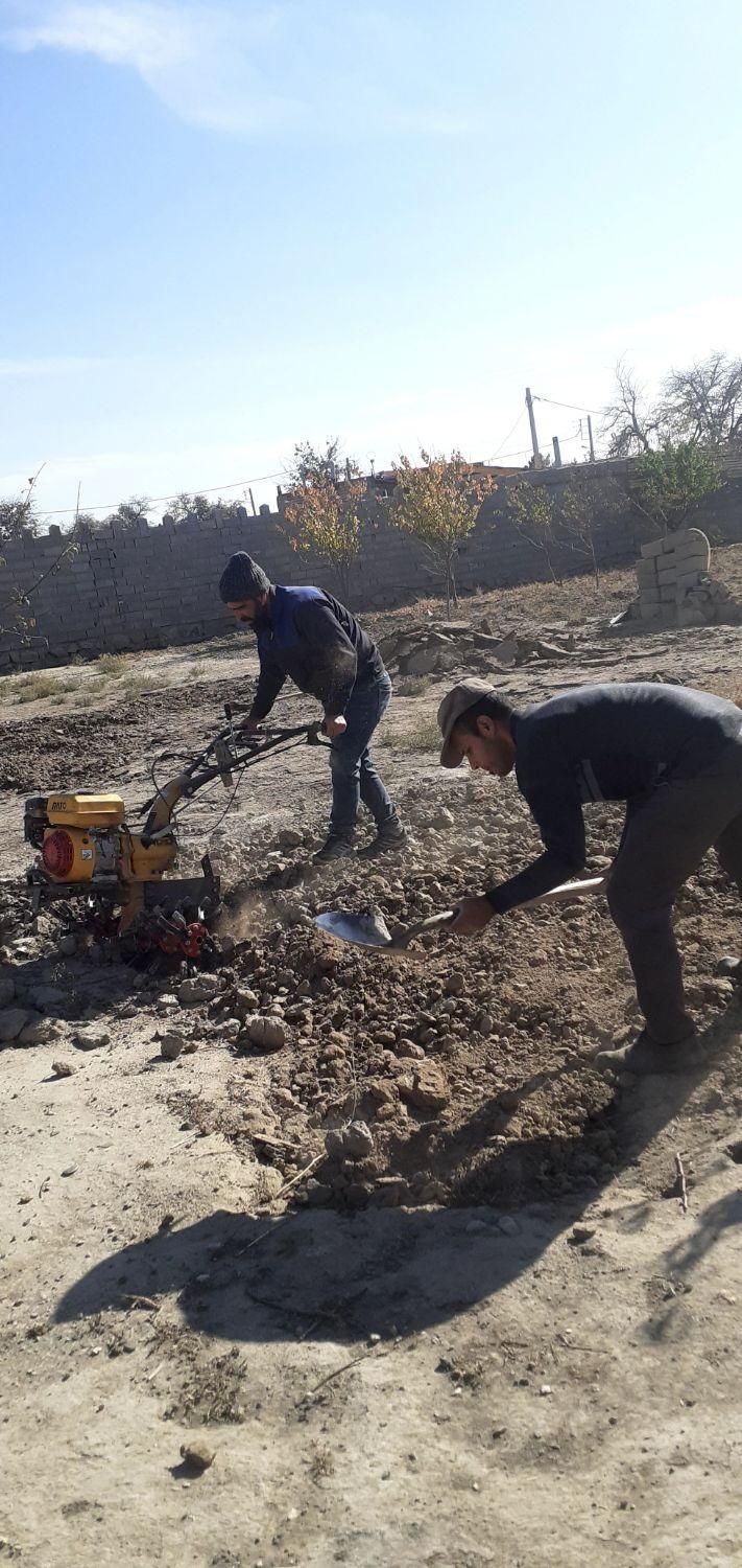باغبانی سمپاشی تیلرزنی گلکاری سم پاشی باغچه|خدمات باغبانی و درختکاری|مشهد, توس (بلوار توس)|دیوار