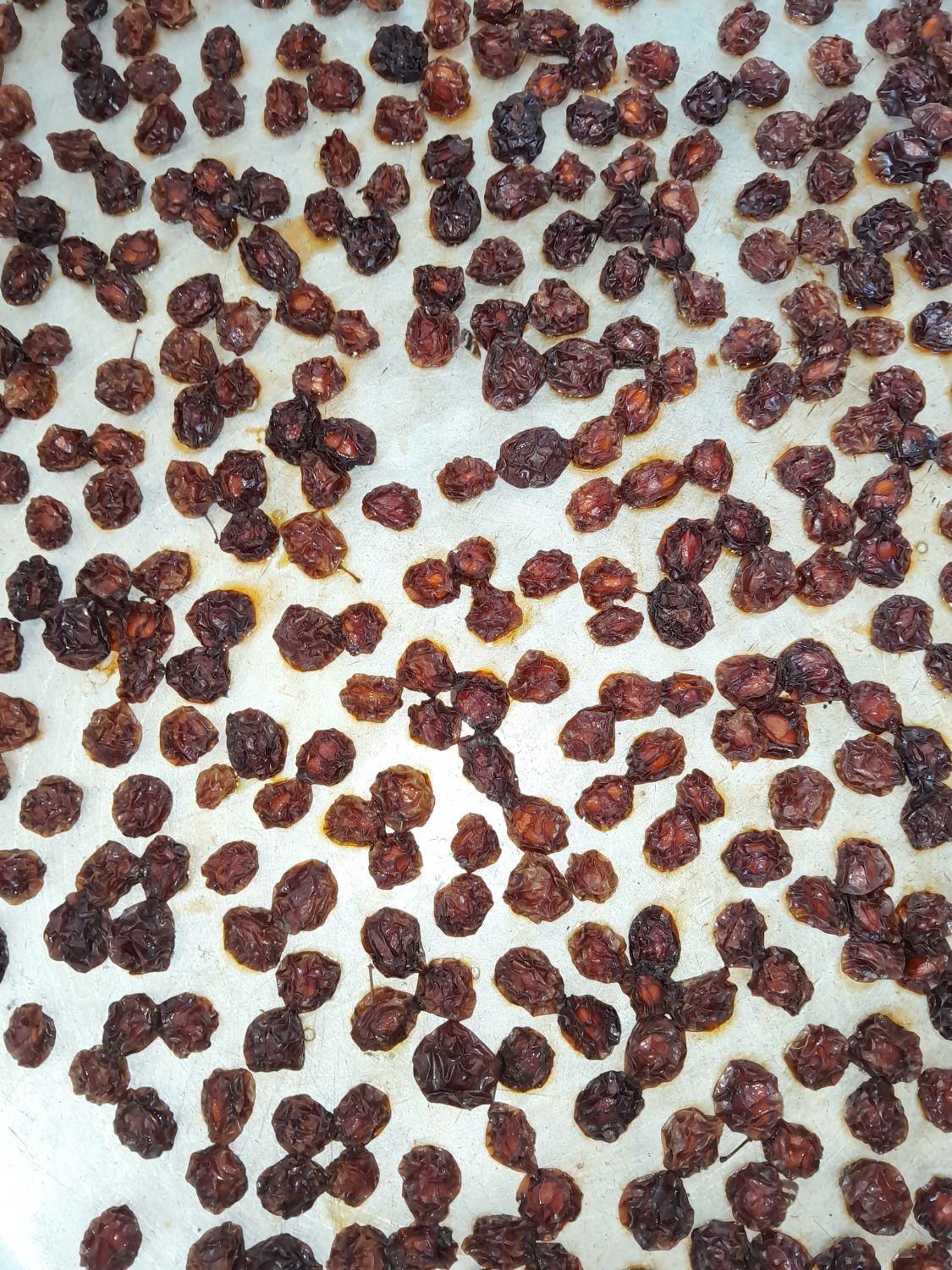 الوچه خشک|خوردنی و آشامیدنی|شفت, |دیوار