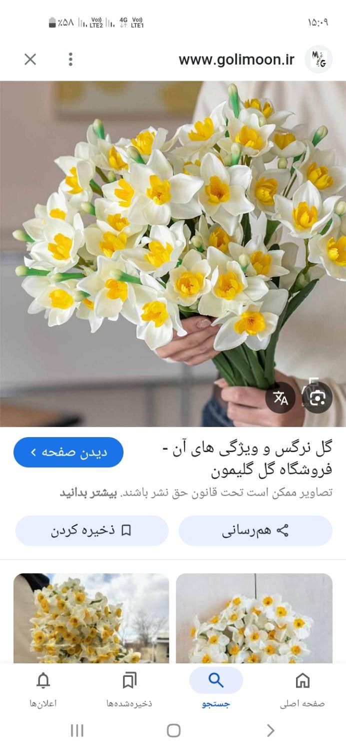 خفیف|دوربین عکاسی و فیلم‌برداری|یاسوج, |دیوار