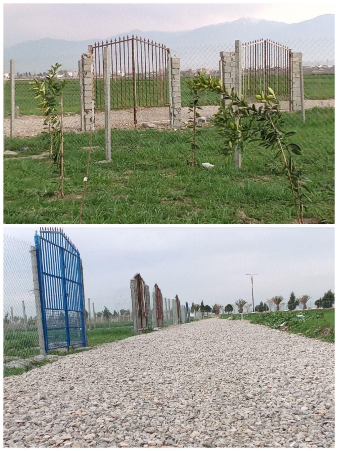 زمین نزدیک گرگان|فروش زمین و ملک کلنگی|سرخنکلاته, |دیوار