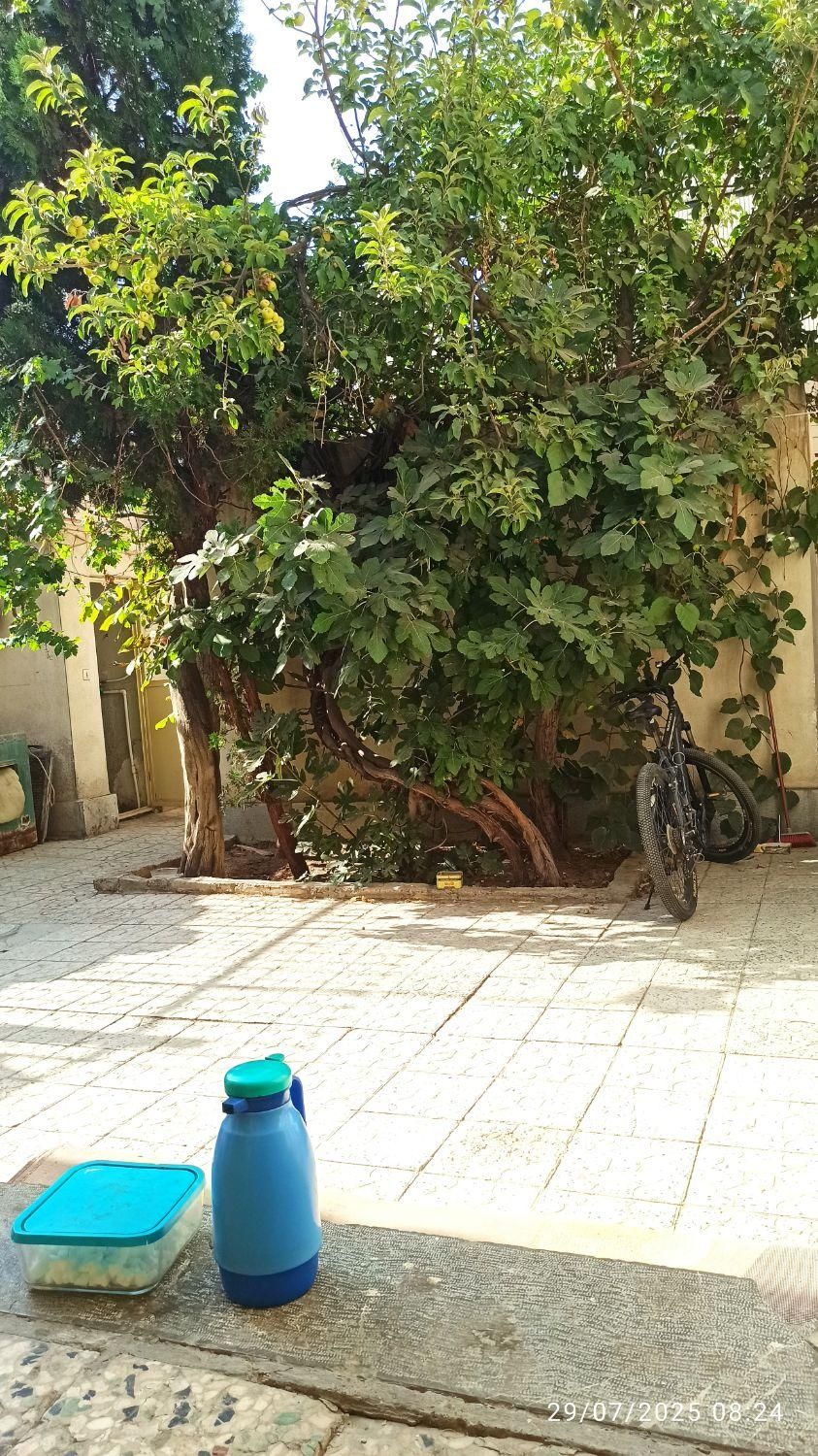 بزرگمهر/گلزار/همخونه موجه فقط آقا/غیث|اجارهٔ خانه و ویلا|اصفهان, گلزار|دیوار
