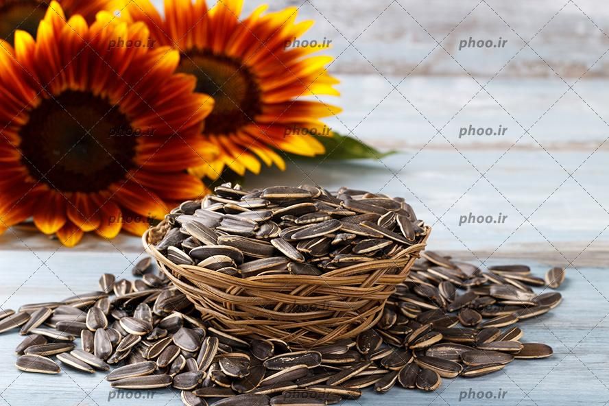 تخمه درجه 1|خوردنی و آشامیدنی|اصفهان, گلزار|دیوار