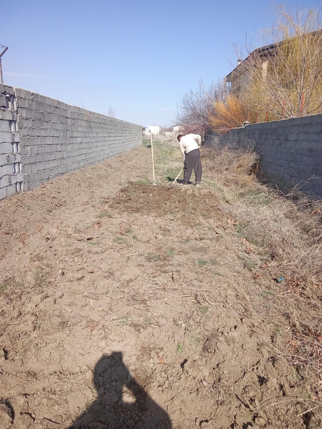 کارگر باغ و باغبانی بیل زنی نظافت باغ|خدمات باغبانی و درختکاری|ارومیه, |دیوار