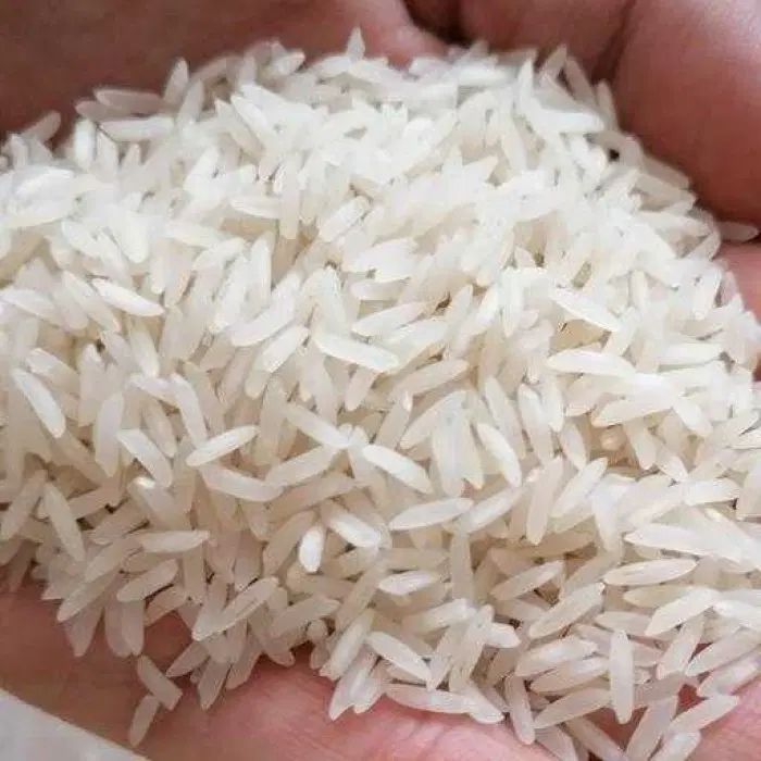 ده کیلو برنج امساله زیر قیمت برنج طارم هاشمی|خوردنی و آشامیدنی|جویبار, |دیوار