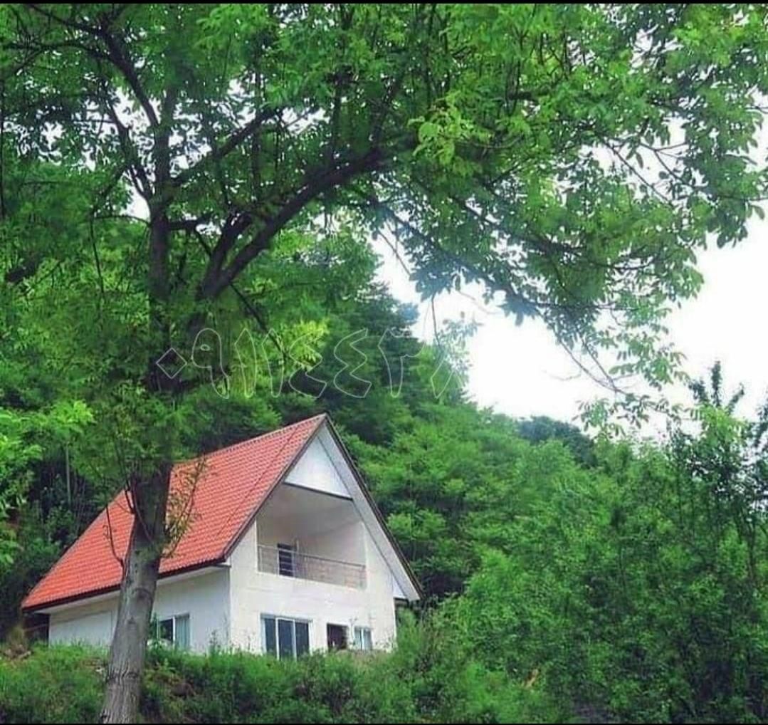 ویلای دنج جنگلی بر فراز منطقه بام کشپل|فروش خانه و ویلا|نور, |دیوار