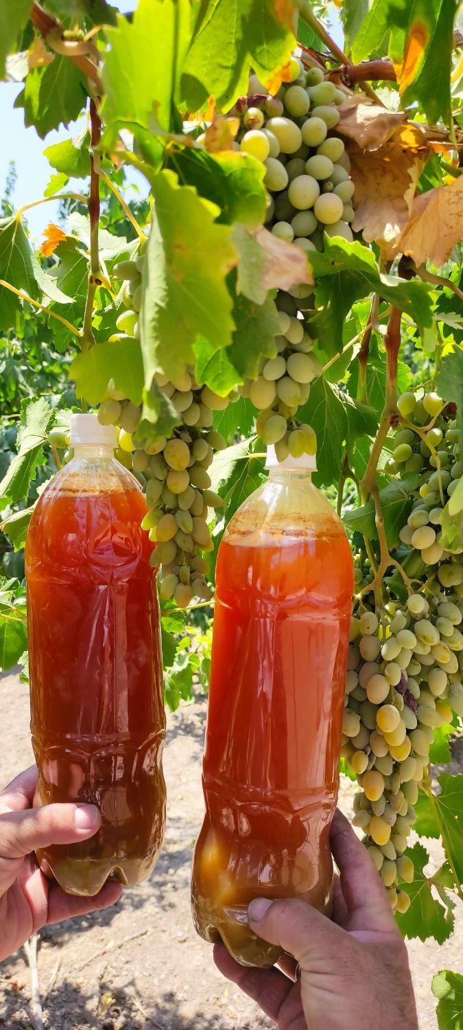 آبغوره خانگی|خوردنی و آشامیدنی|اصفهان, هزارجریب|دیوار