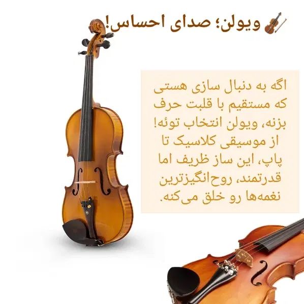 آموزش تنبک ویولن دف هنگ درام سنتور سه تار|خدمات آموزشی|رباط‌کریم, رباط‌کریم|دیوار
