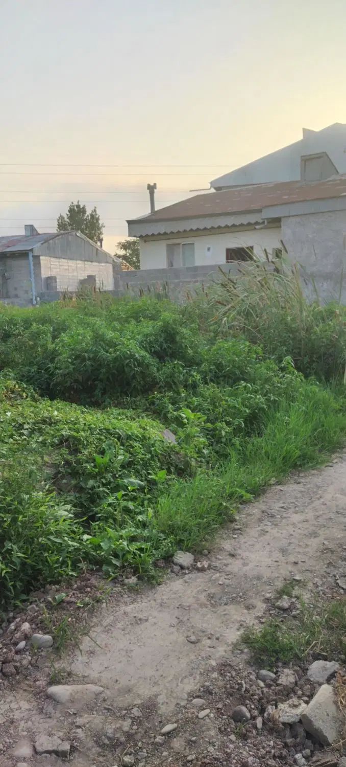 با نیسان یخچالدار هم معاوضه میکنم|فروش زمین و ملک کلنگی|رشت, ترمینال|دیوار