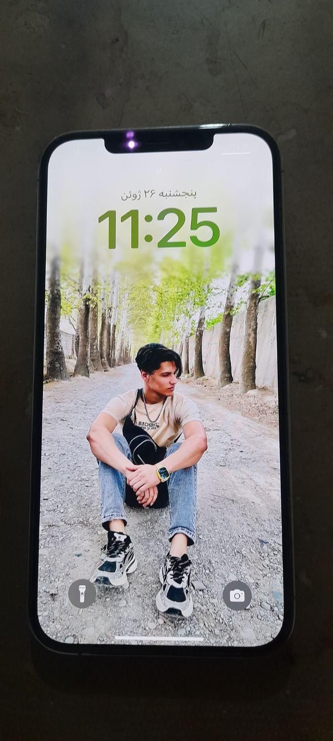 اپل iPhone 12 Pro Max با حافظهٔ ۲۵۶ گیگابایت|موبایل|شهریار, |دیوار