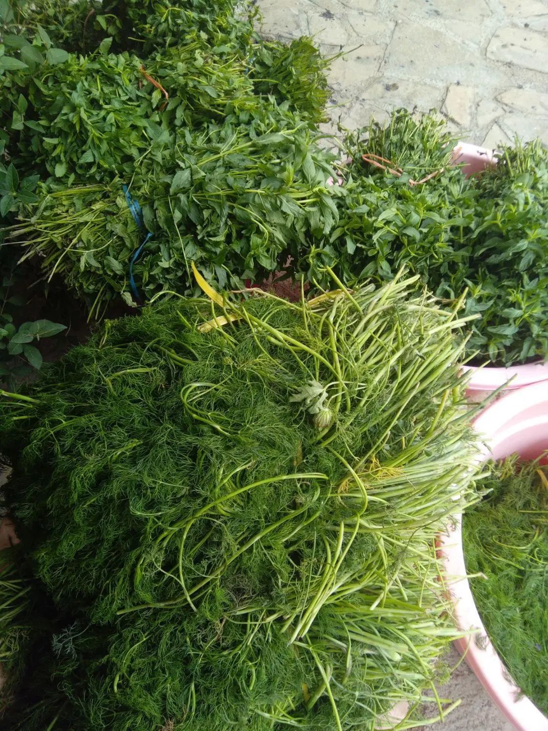 سبزی|خوردنی و آشامیدنی|مشهد, پورسینا|دیوار