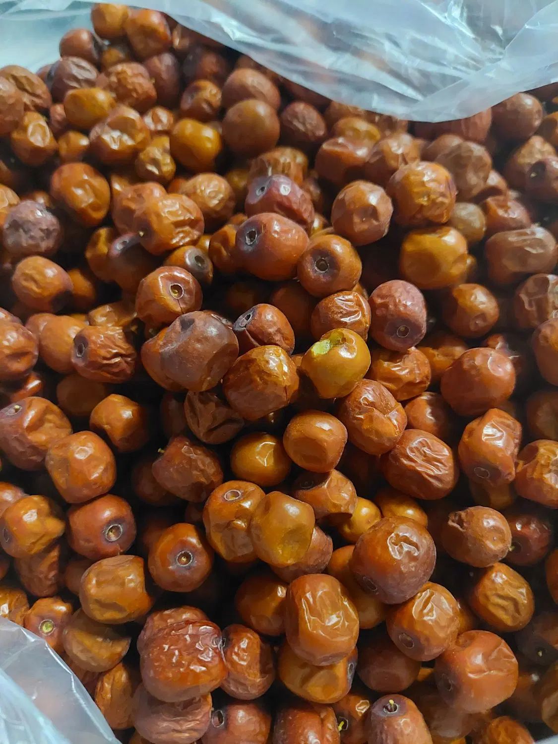 عناب تازه|خوردنی و آشامیدنی|مشهد, فاطمیه|دیوار