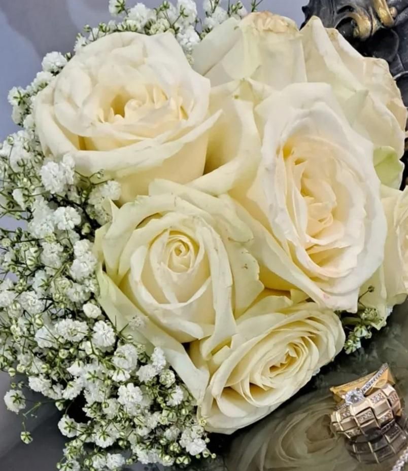 استودیو فیلم و عکس با ۱۰ سال سابقه کاری|خدمات پذیرایی، مراسم|قزوین, |دیوار