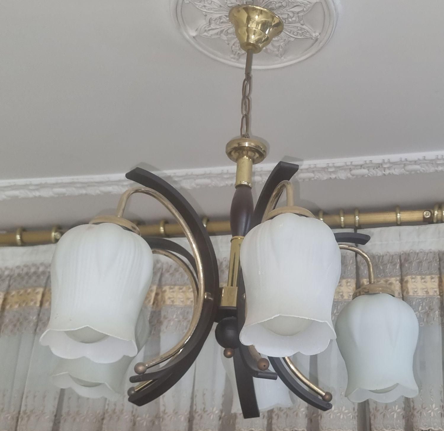 ۲ عدد لوستر سقفی ۵ شاخه با طرح خاص|لوستر و چراغ آویز|بندر ماهشهر, |دیوار