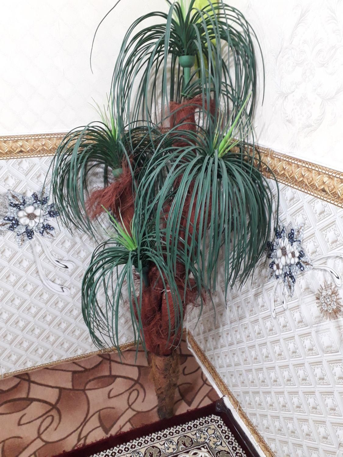 دکوری نخل|گل مصنوعی|نسیمشهر, |دیوار