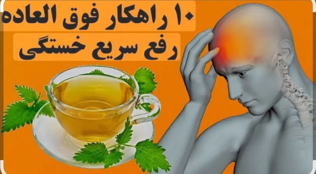 راهنمایی میکنم|فعالیت داوطلبانه|مشهد, شاهد (شهرک غرب)|دیوار