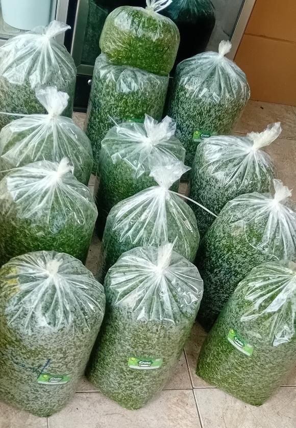 سبزی خرد شده  قرمه ، کوکو ، آش ، پلو ، سوپ|خوردنی و آشامیدنی|اسلام‌شهر, شهرک محمدیه|دیوار