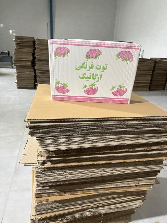 کارتن سازی ایوبی|خدمات پیشه و مهارت|سنندج, |دیوار