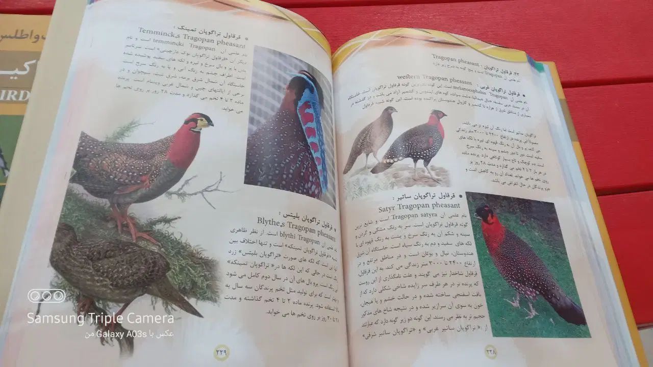 دانشنامه پرندگان و ماکیان|کتاب و مجله ادبی|مشهد, راهنمایی|دیوار