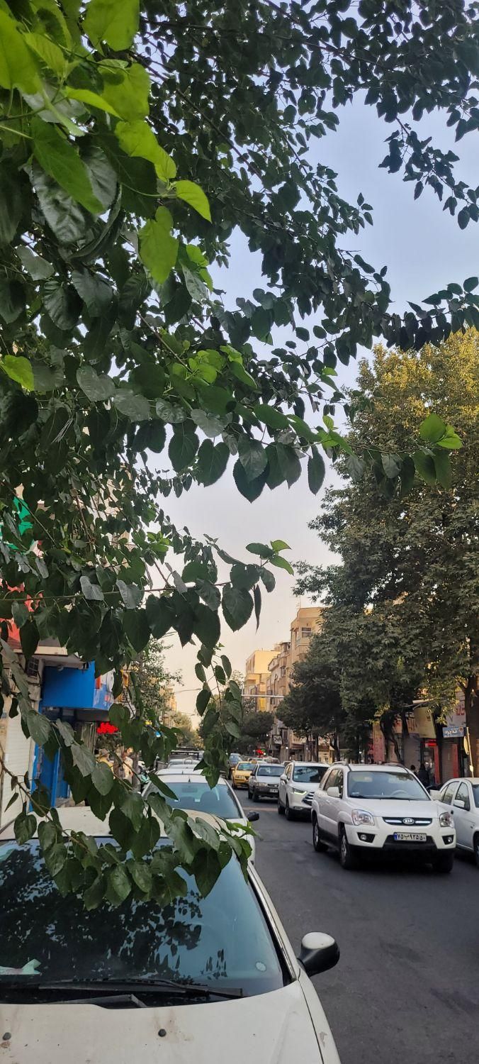 اجاره مغازه ۳۰ متری در بهبودی|اجارهٔ مغازه و غرفه|تهران, شادمهر|دیوار