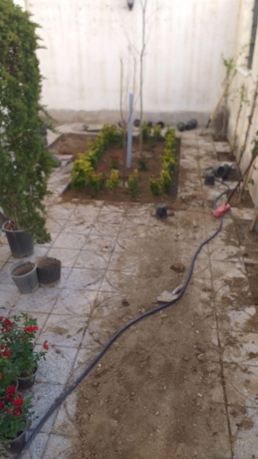 چمنکاری.کوددهی هرس گلکاری جابجای بیل زدن|خدمات باغبانی و درختکاری|پردیس, فاز ۱۱|دیوار