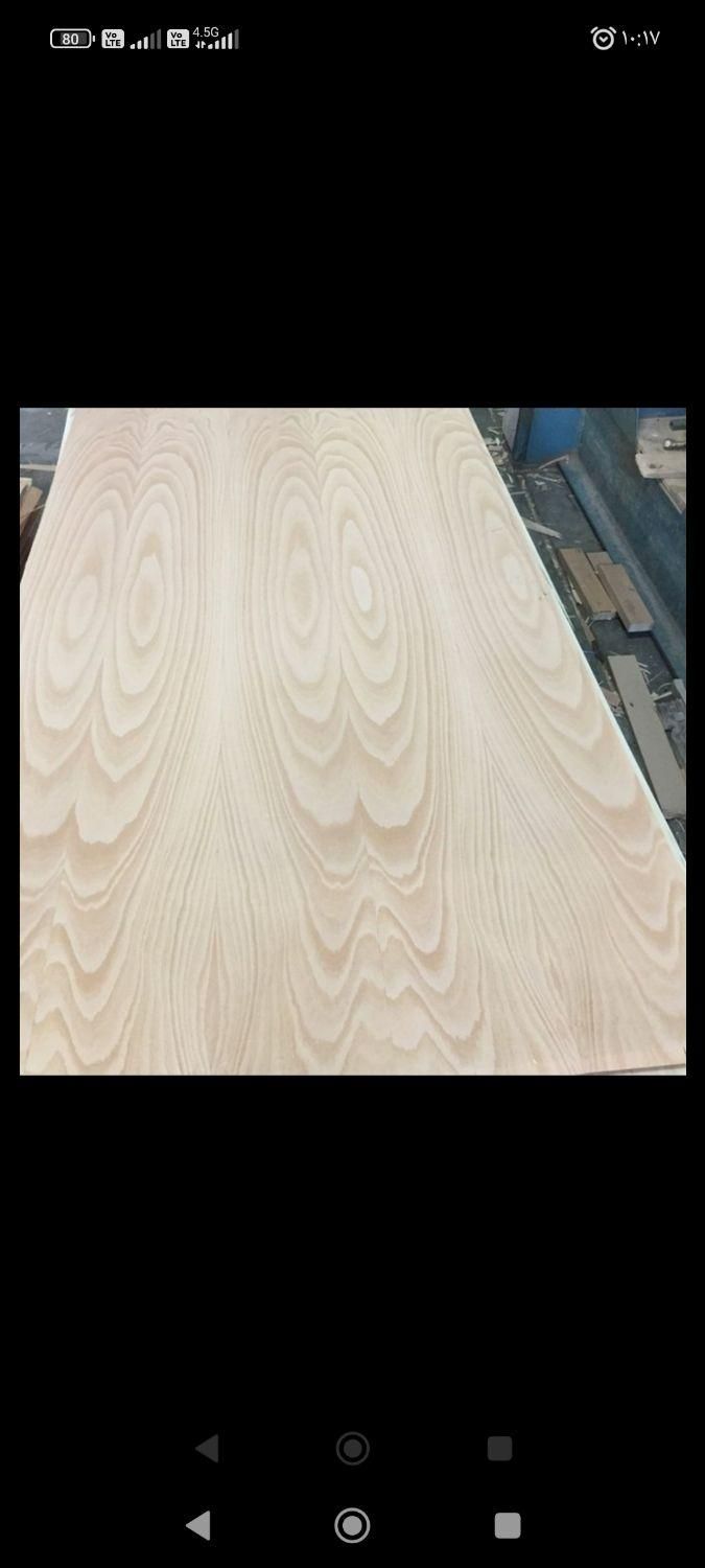 فرآوردهای چوبی صالحی|عمدهفروشی|چهاردانگه (تهران), |دیوار