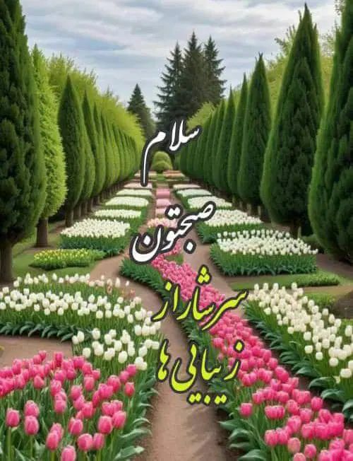پرستاری و مراقبت از خانم سالمند بیمار در منزل|استخدام درمانی، زیبایی، بهداشتی|مشهد, شهرک لشکر (شهرک غرب)|دیوار