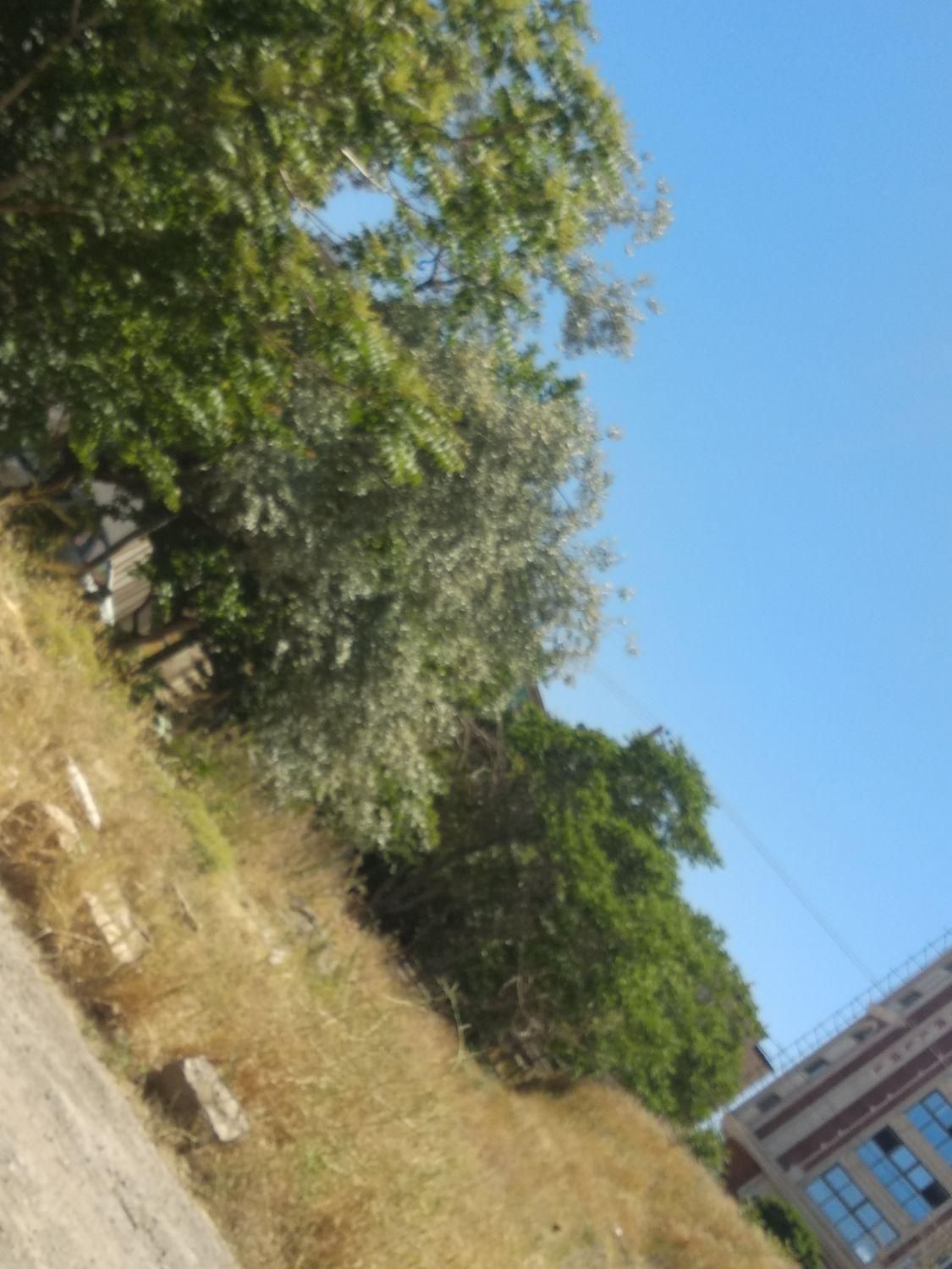 چاله شمعک.کندن چاه آب. چاه کن|خدمات پیشه و مهارت|همدان, |دیوار