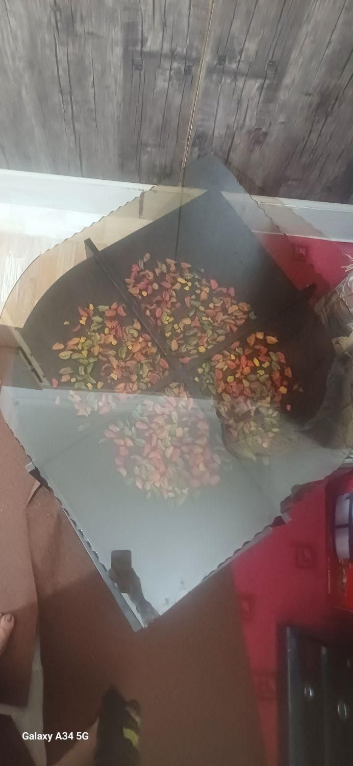 میز جلو مبلی|مبلمان خانگی و میز عسلی|یزد, |دیوار