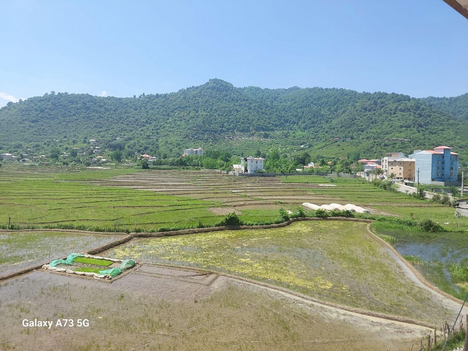 آپارتمان ۲۱۰ متر۳ خوابه خ شهید زارع ویو بام سبز|فروش آپارتمان|ماسال, |دیوار