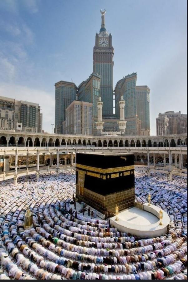 فروش فیش حج تمتع ۲عدد ۸۶و۱عدد ۸۵|تور و چارتر|تهران, تهرانسر شرقی|دیوار
