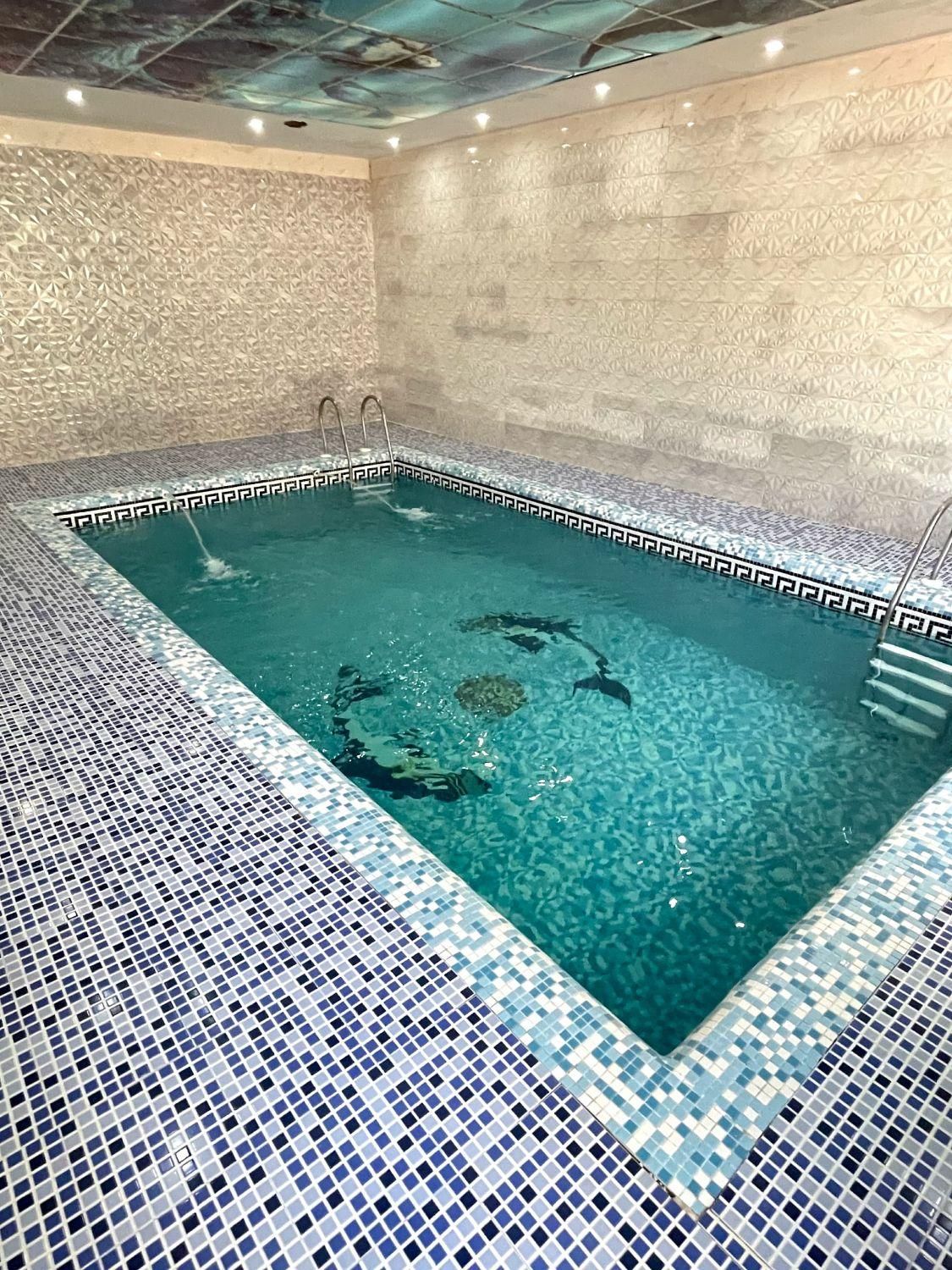 باغ ویلا پائیزان/ امشب خالی/استخرسرپوشیده(مالک)|اجارهٔ کوتاه‌مدت ویلا و باغ|شهریار, شهریار|دیوار