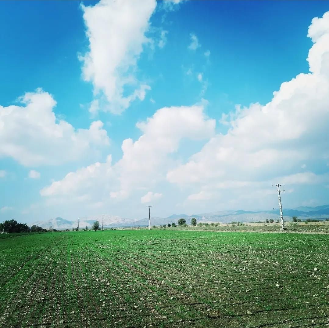 فروش ۱۲ هکتار زمین کشاورزی منوجان چاهشاهی|فروش دفتر صنعتی، کشاورزی، تجاری|کهنوج, |دیوار