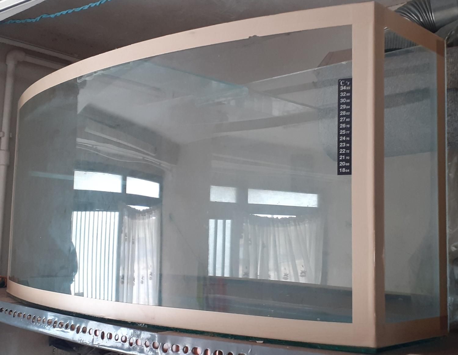 آکواریوم شیشه خم|ماهی|تبریز, |دیوار