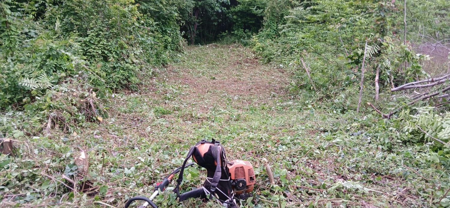 علف زنی با دستگاه چمن زن|خدمات باغبانی و درختکاری|رشت, توشیبا|دیوار