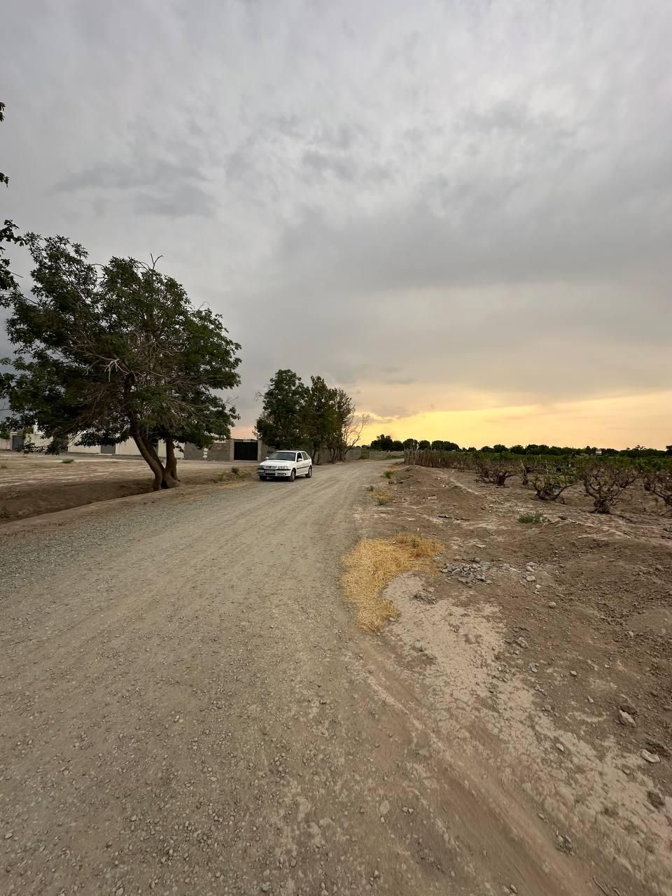 ۹۰۰۰ کتر سندتکبرگچ|فروش زمین و ملک کلنگی|رباط‌کریم, پیغمبر|دیوار