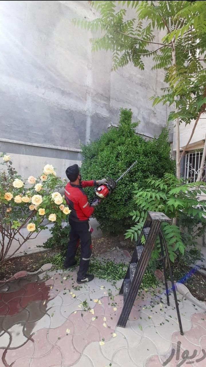 خدمات باغبانی و فضای سبز گل چمن نهال هرس و...|خدمات باغبانی و درختکاری|مشهد, توس (بلوار توس)|دیوار