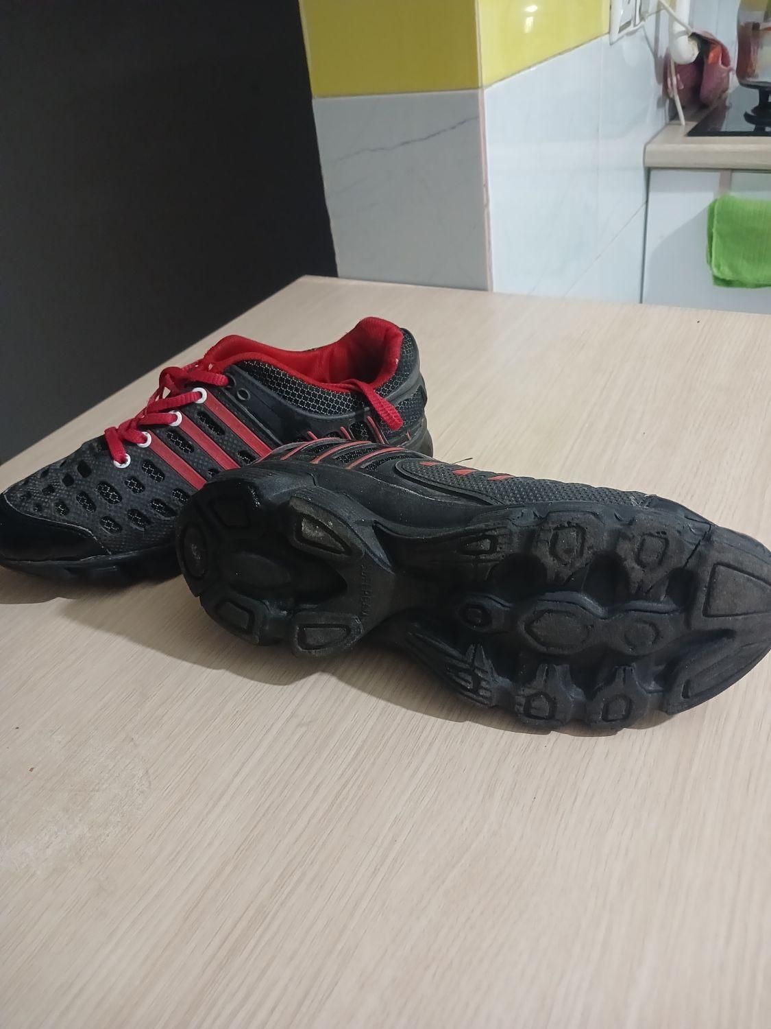 سایز 41 در حد نو|کیف، کفش، کمربند|رشت, باهنر|دیوار