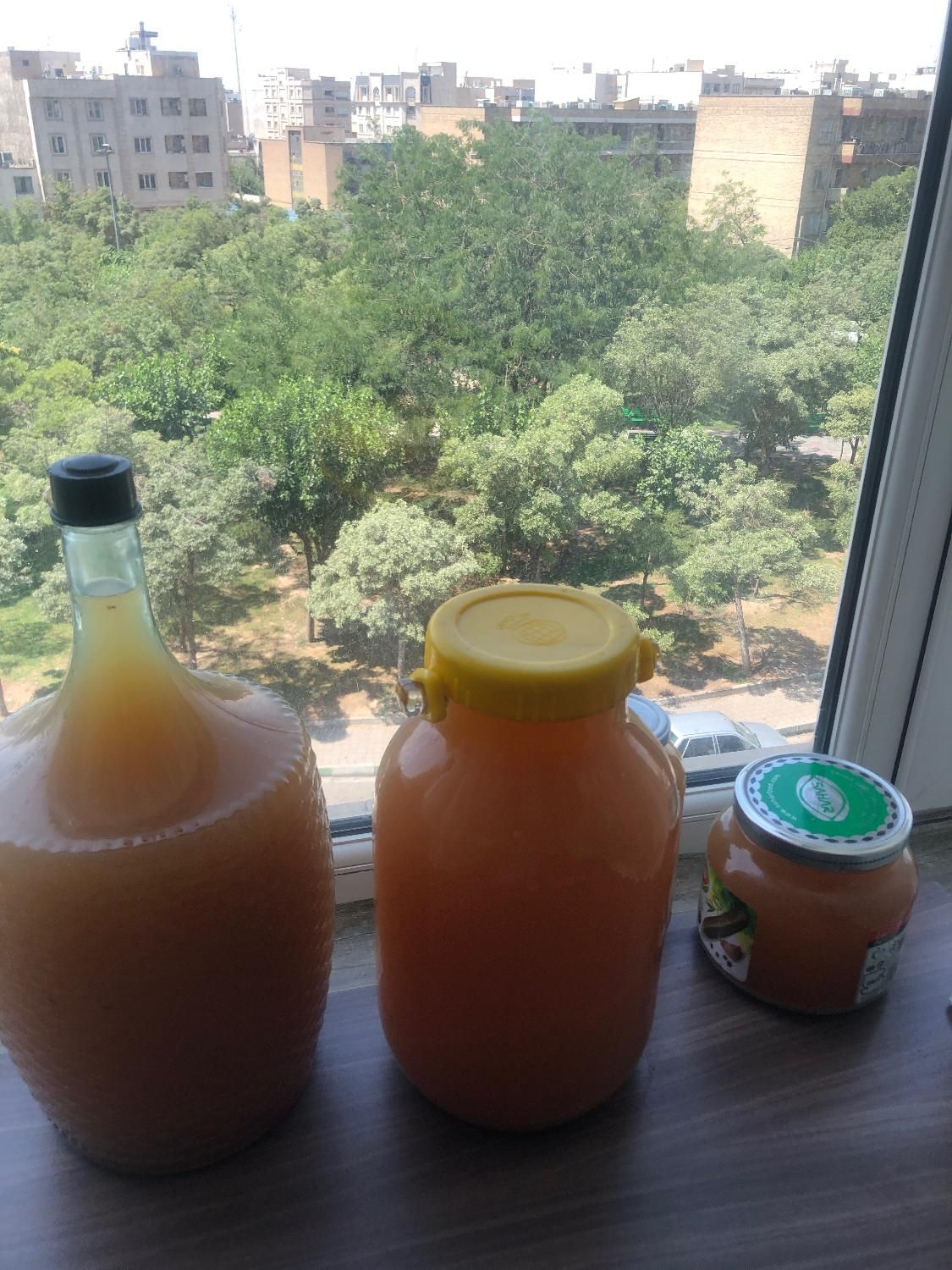 ابغوره خانگی|خوردنی و آشامیدنی|تهران, علم و صنعت|دیوار