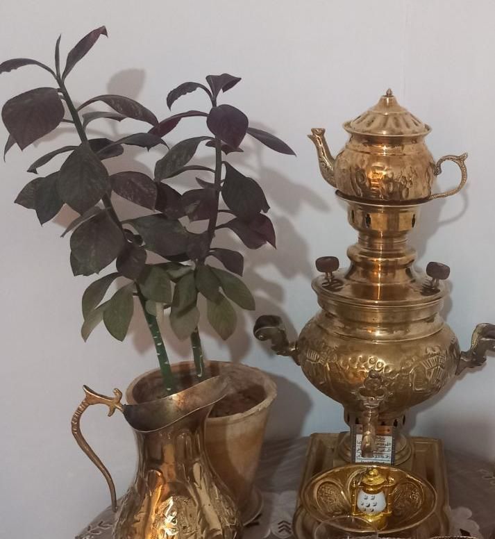 کمبود جا|صنایع دستی و سایر لوازم تزئینی|ماهدشت, |دیوار