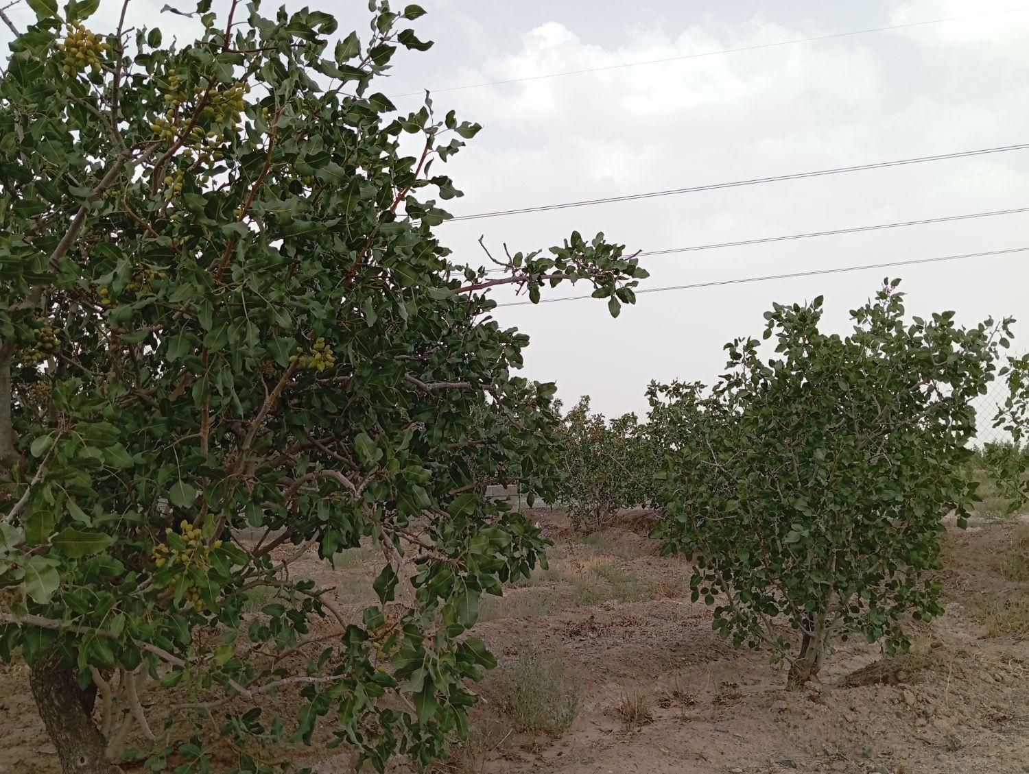 تصویر 4